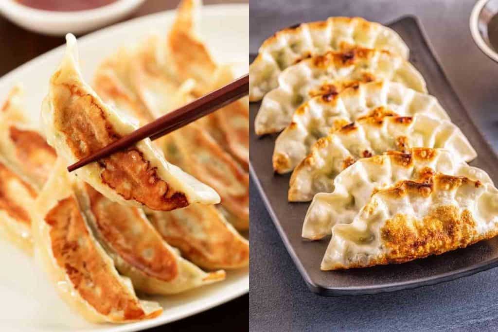 Jiaozi Vs Gyoza