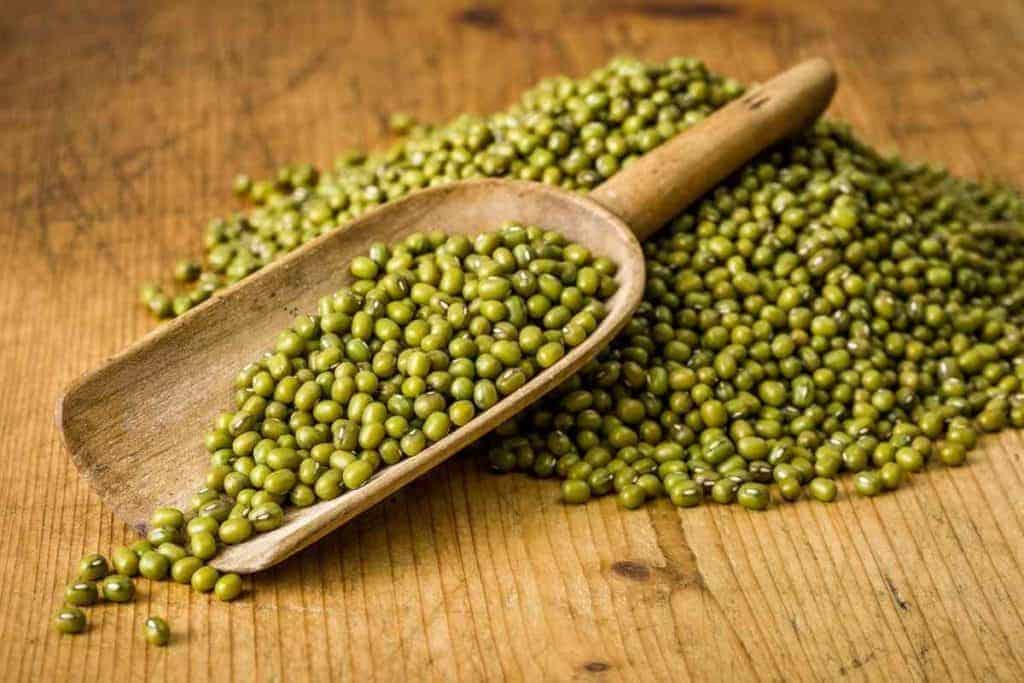 15 Best Adzuki Beans Substitutes