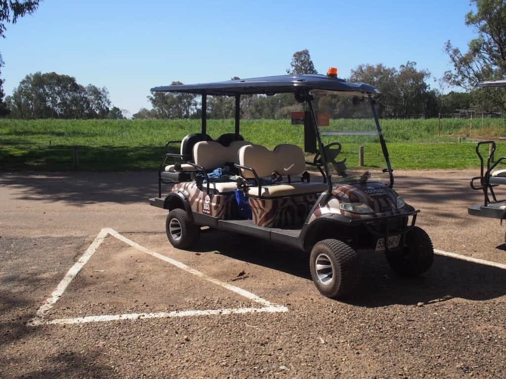 Taronga Western Plains Zoo Dubbo Top Tips For a Great Visit Newy