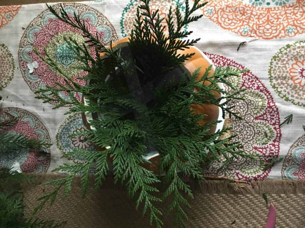pumpkin planter with greenery poking out