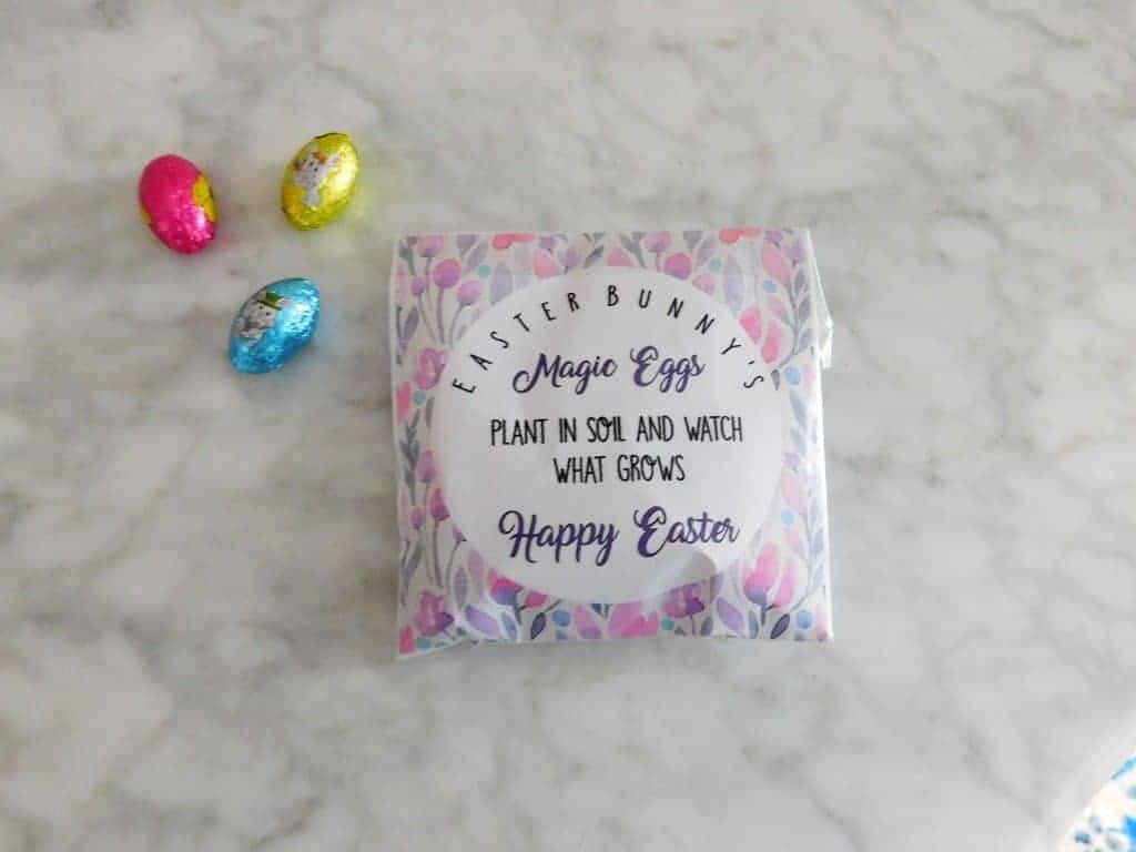 Easter bunny magic eggs plant and soil package on table top