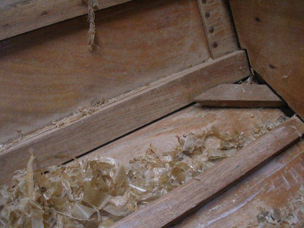 older boats built with non gap filling glues. storerboatplans.com