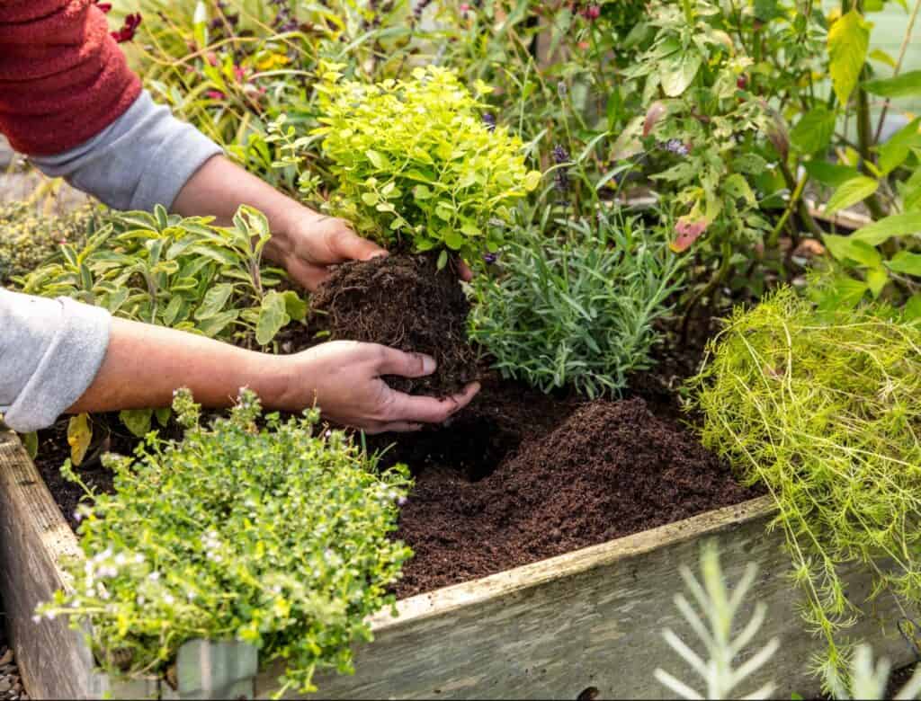 Der Gartentrend geht zum Hochbeet