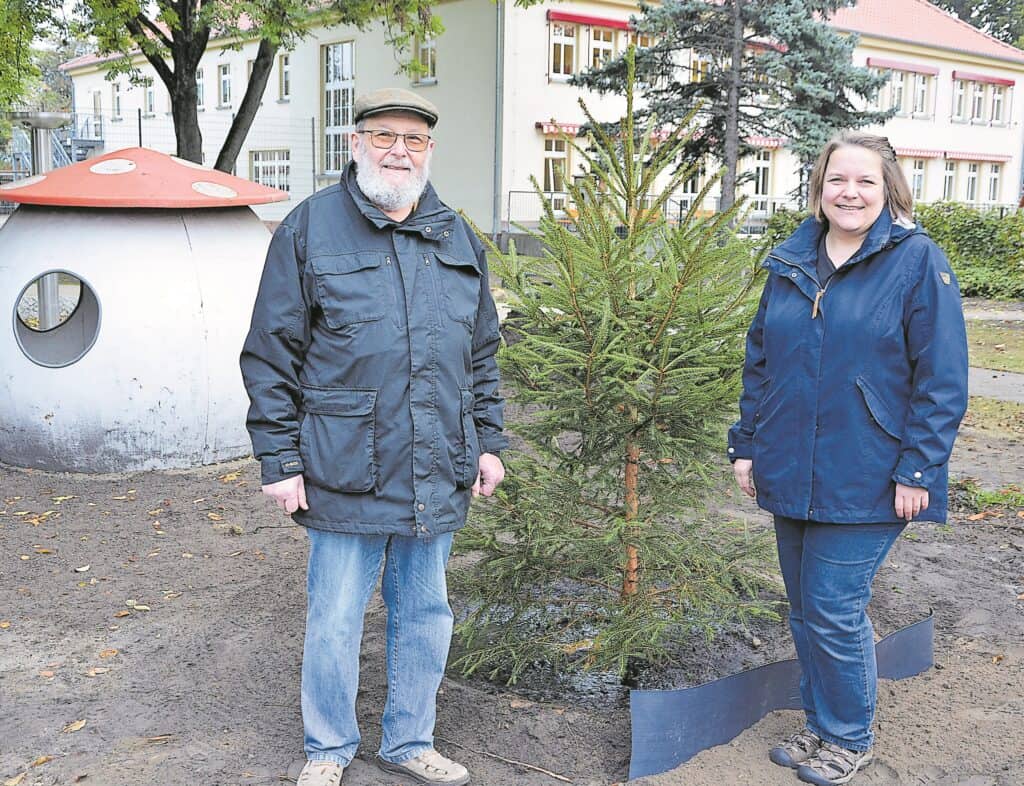 Vom Setzling zum Bäumchen