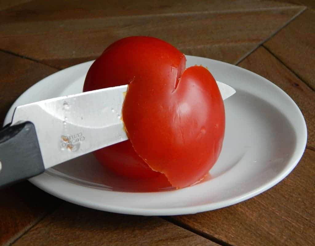 tomatorose3
