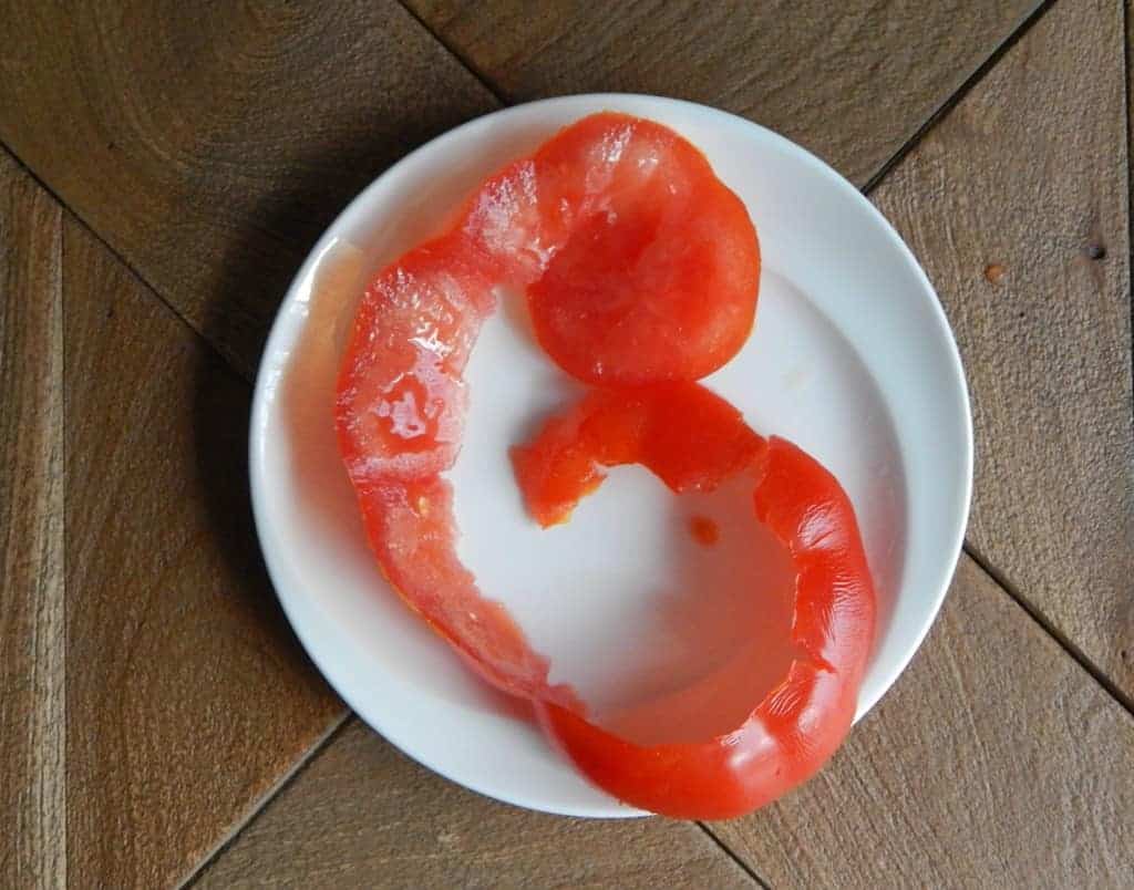 tomatorose4