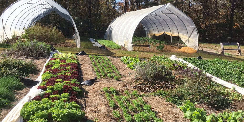 Build a Homestead with a Rental Track Loader 