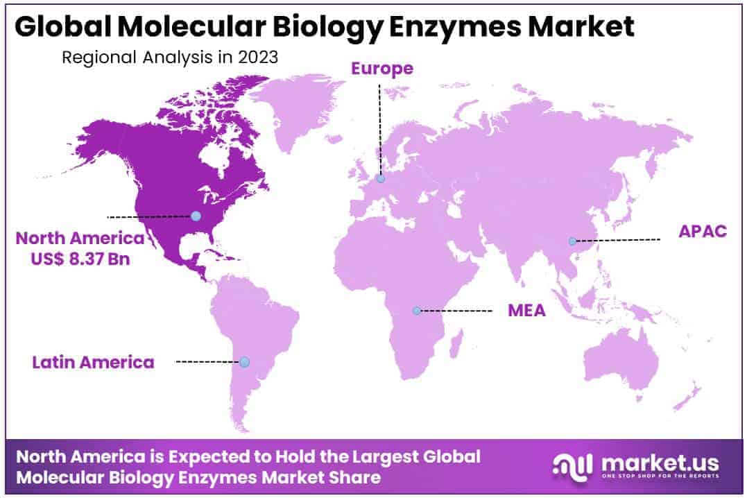 Molecular Biology Enzymes Market Region