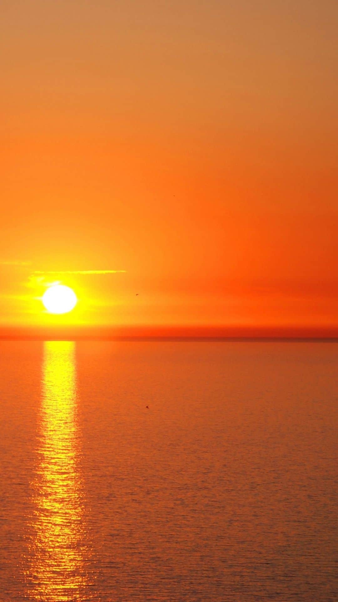 Sunset iphone Wallpaper