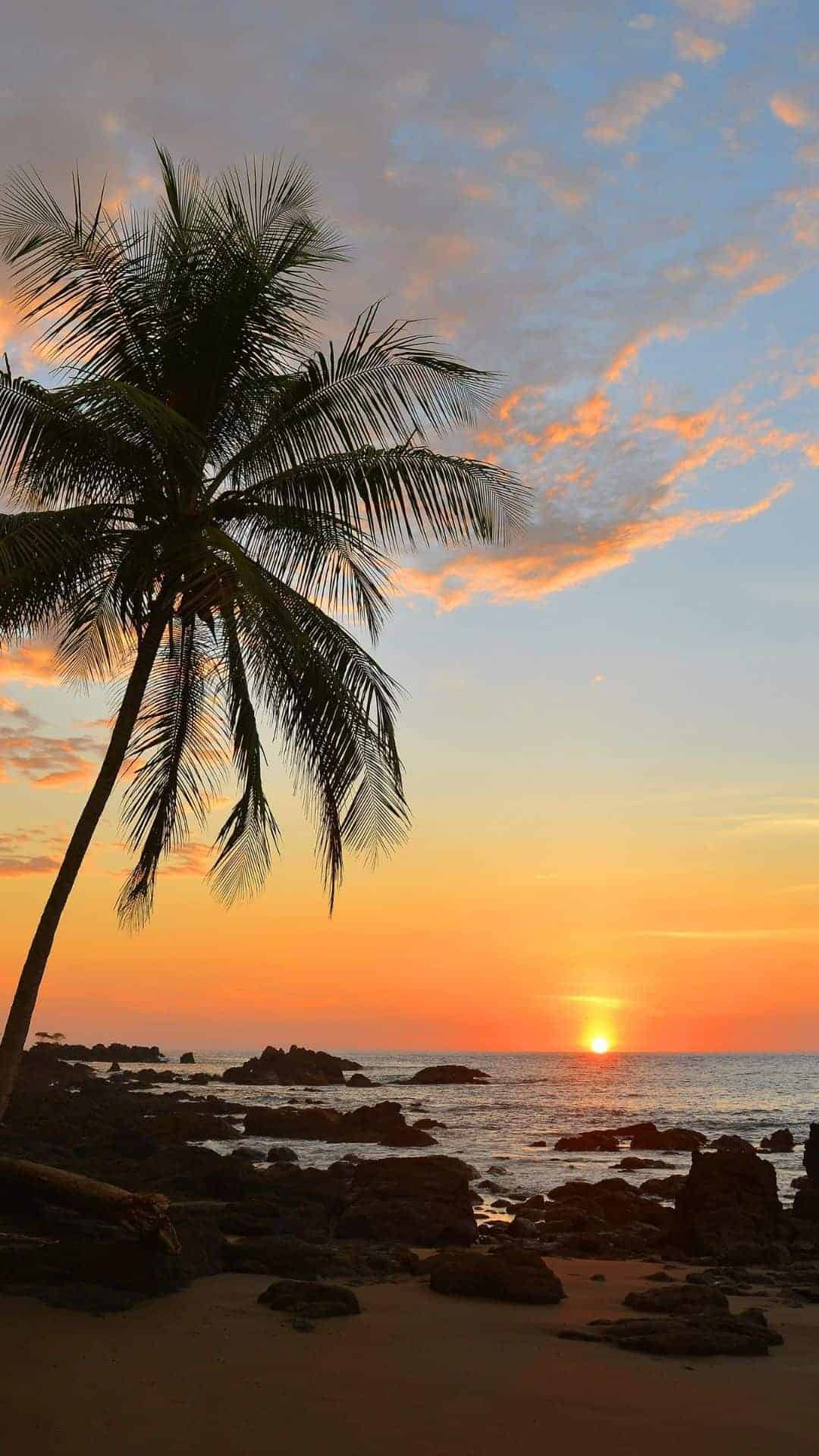 Sunset iphone Wallpaper