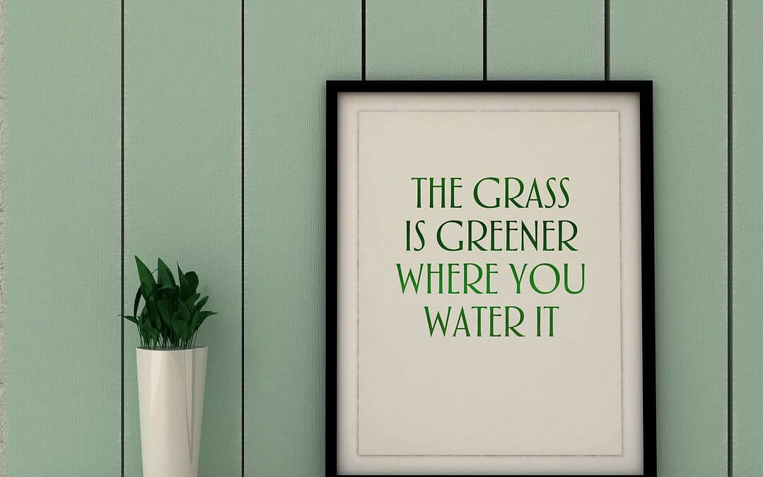 The Grass Is Always Greener: A Scientific Illusion