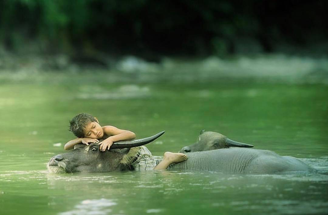 42+ Potret Masyarakat Desa Terbaik Karya Fotografer Indonesia 21 20. Potret Lingkungan Pedesaan - Karya Achmad Munasit / Asit - Design Erlistic