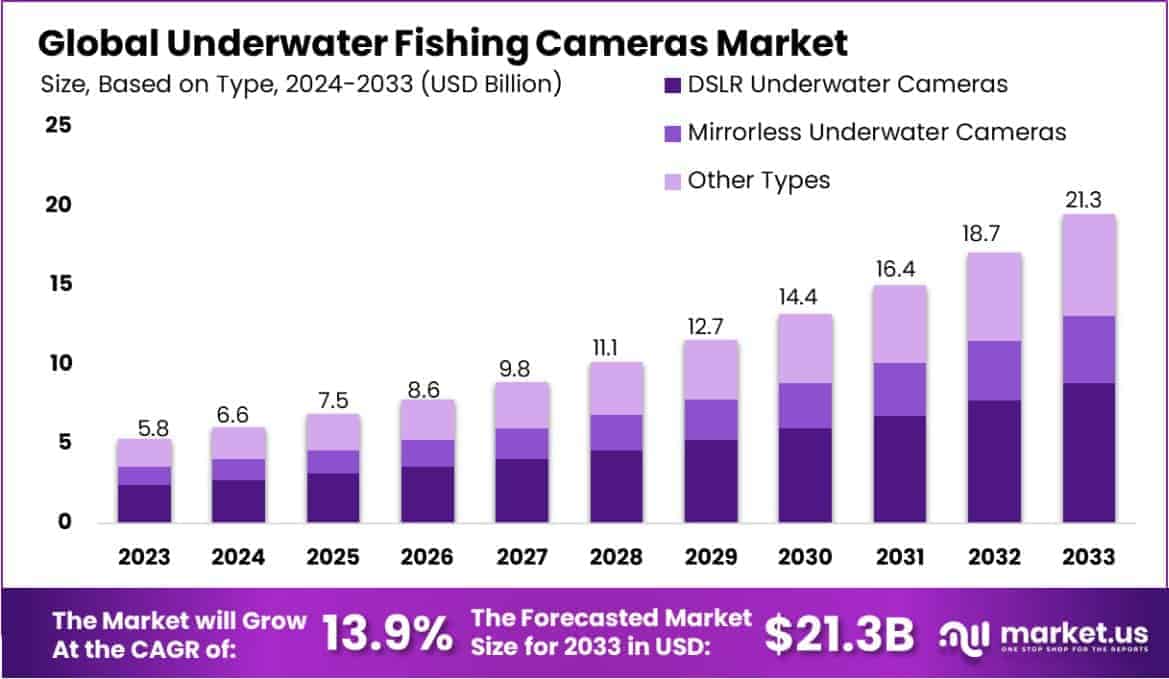 Underwater Fishing Cameras Market Size
