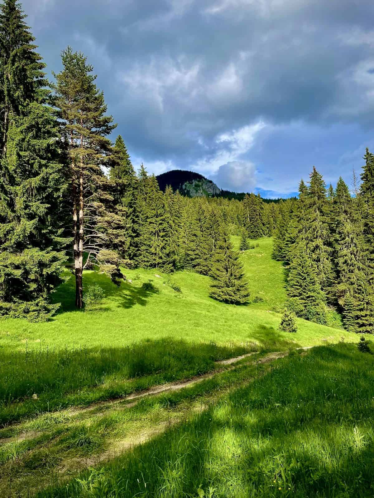 пътят за чаирски езера