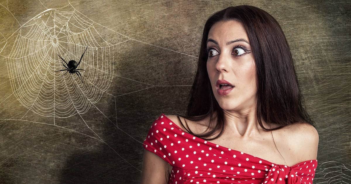 Woman startled by spider and cobweb next to her