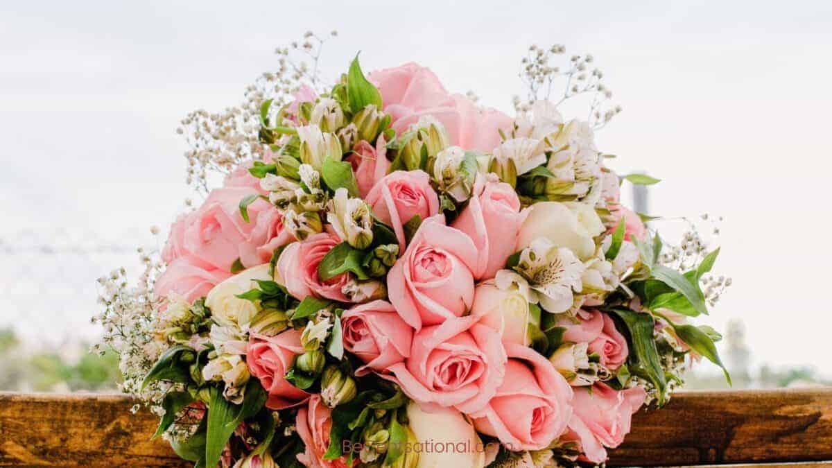 pink and white Flower Wallpapers Wallpapers, flower Backgrounds for desktop