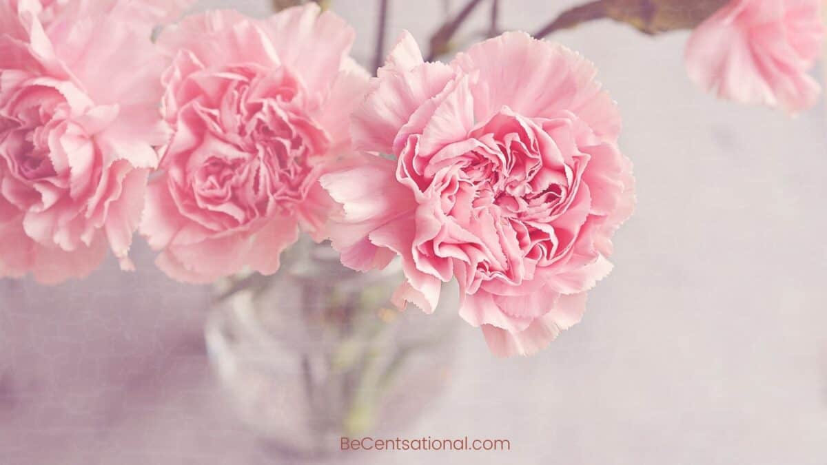 Flower Wallpapers Wallpapers, flower Backgrounds for desktop