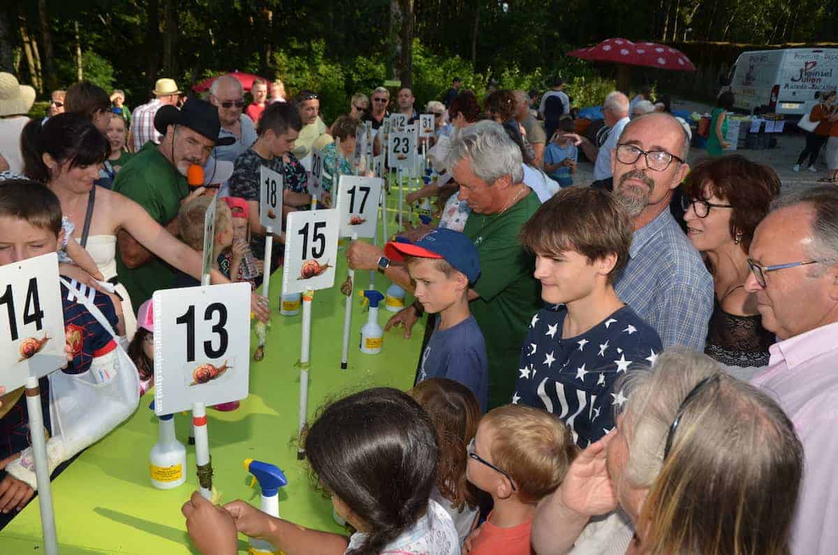 cohons course d'escargots