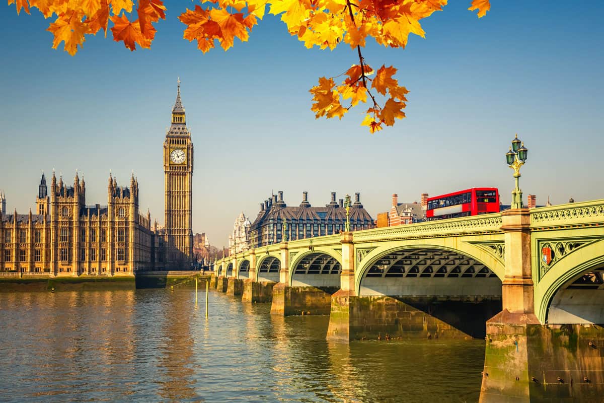 sunny-city-uk-scaled