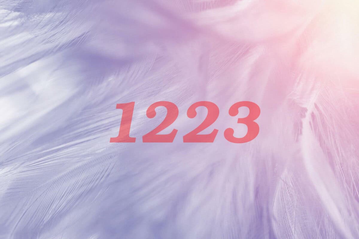 1223 Angel Number Meaning  