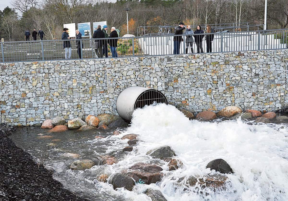 Volle Flut für den Cottbuser Ostsee