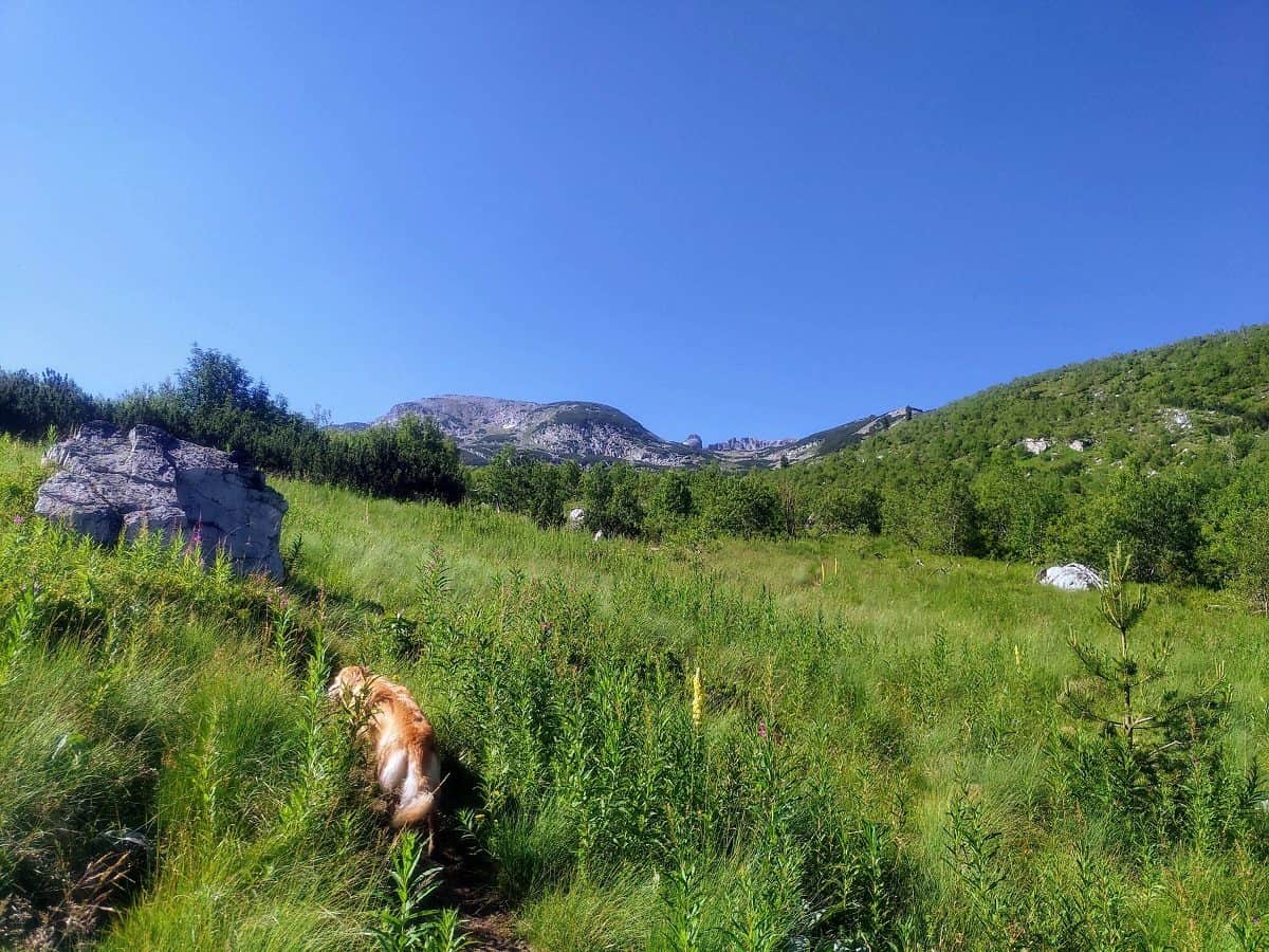 Йончево езеро