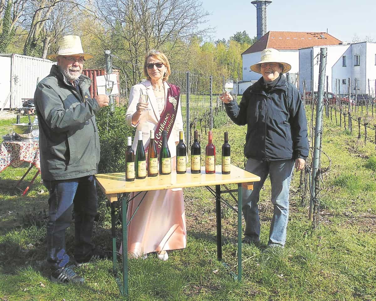 Ernte in Klein-Oßnig abgeschlossen