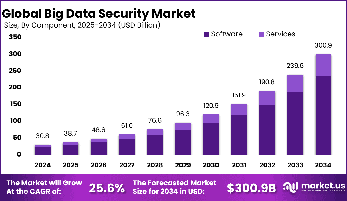 Big Data Security Market Size