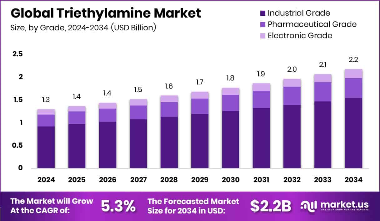 Triethylamine Market Size