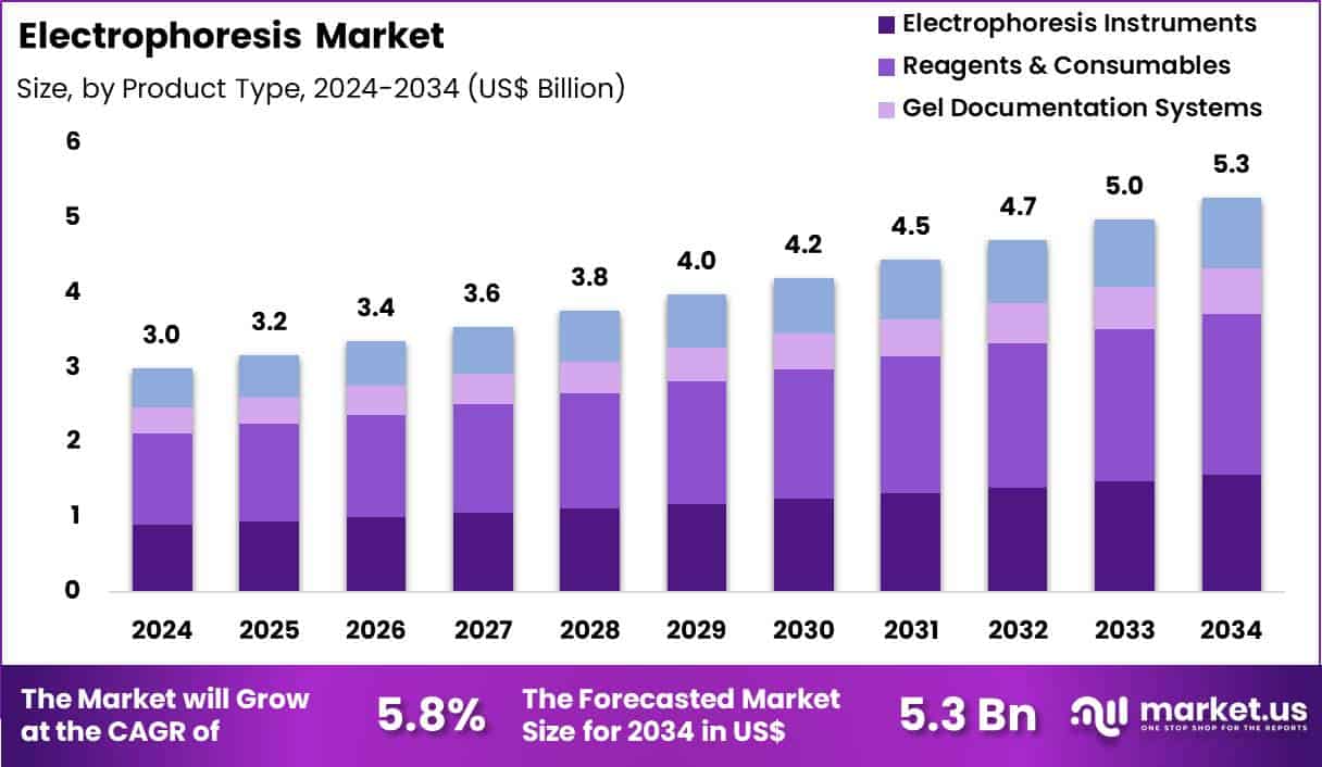 Electrophoresis Market Size