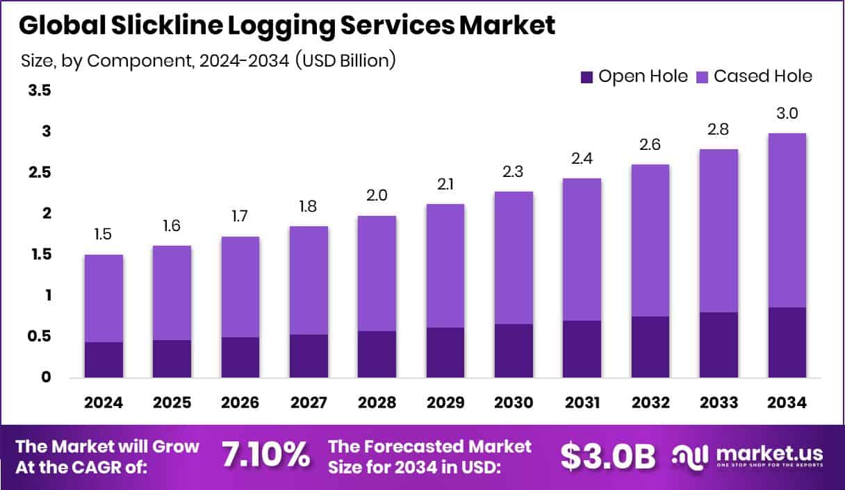Slickline Logging Services Market Size