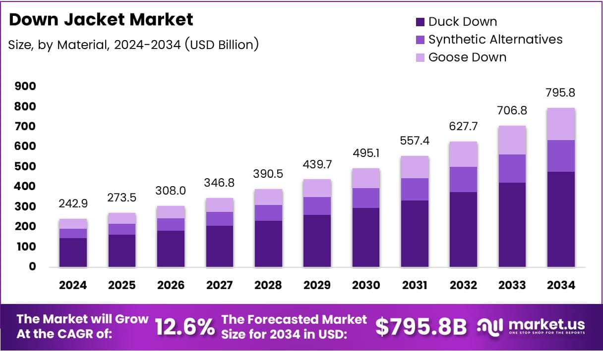 Down Jacket Market Growth Analysis