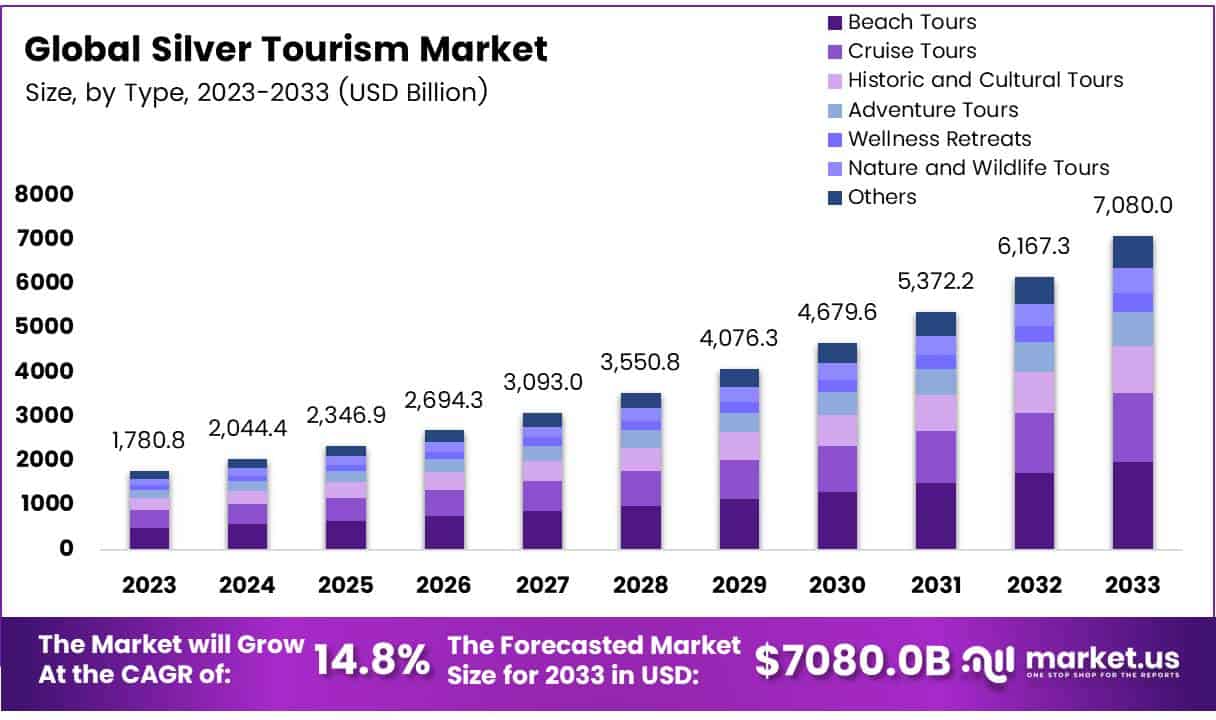 Silver Tourism Market Size