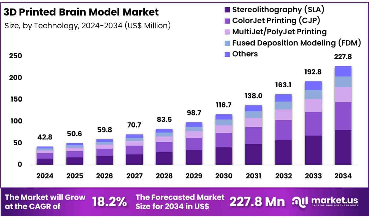 3D Printed Brain Model Market Size