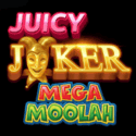 Juicy Joker Mega Moolah – Free Spins Global Games Juicy Joker Jackpot banner 250x250