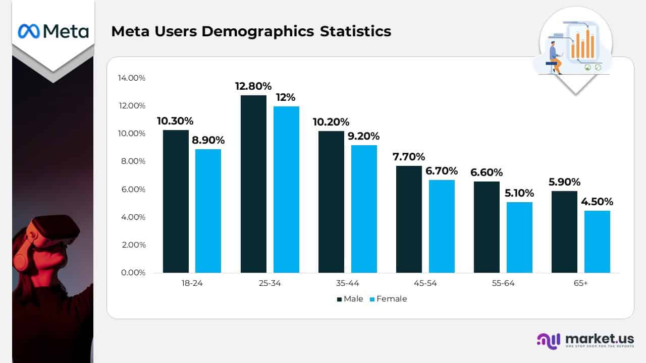 Meta Users Demographics Statistics