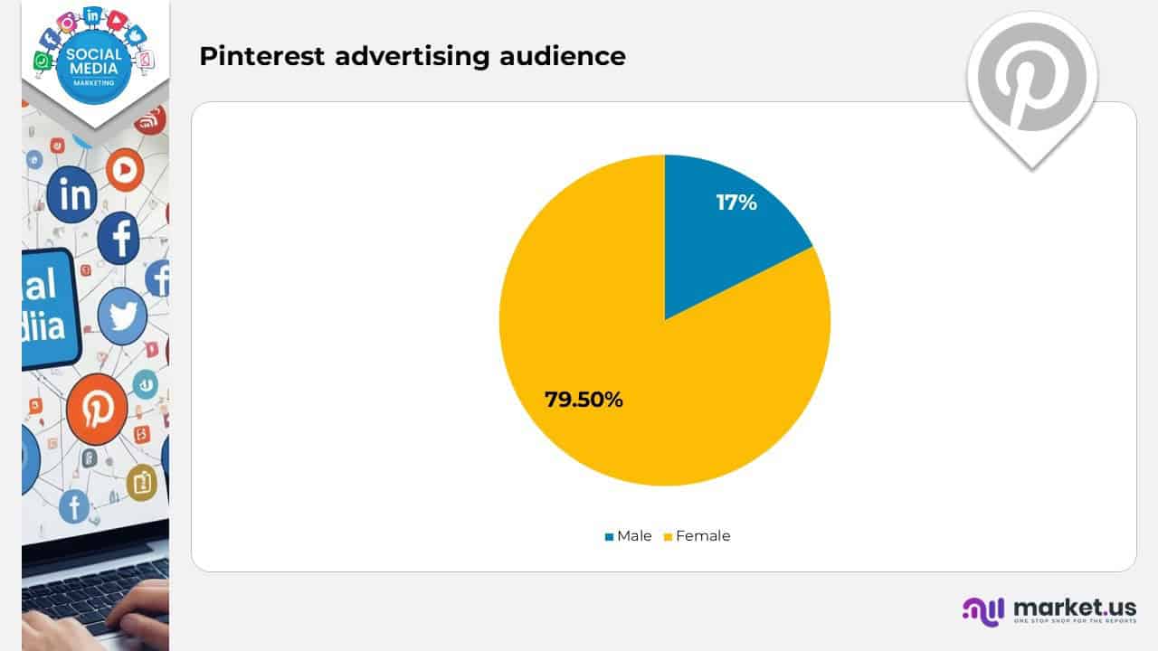 Pinterest Advertising Audience