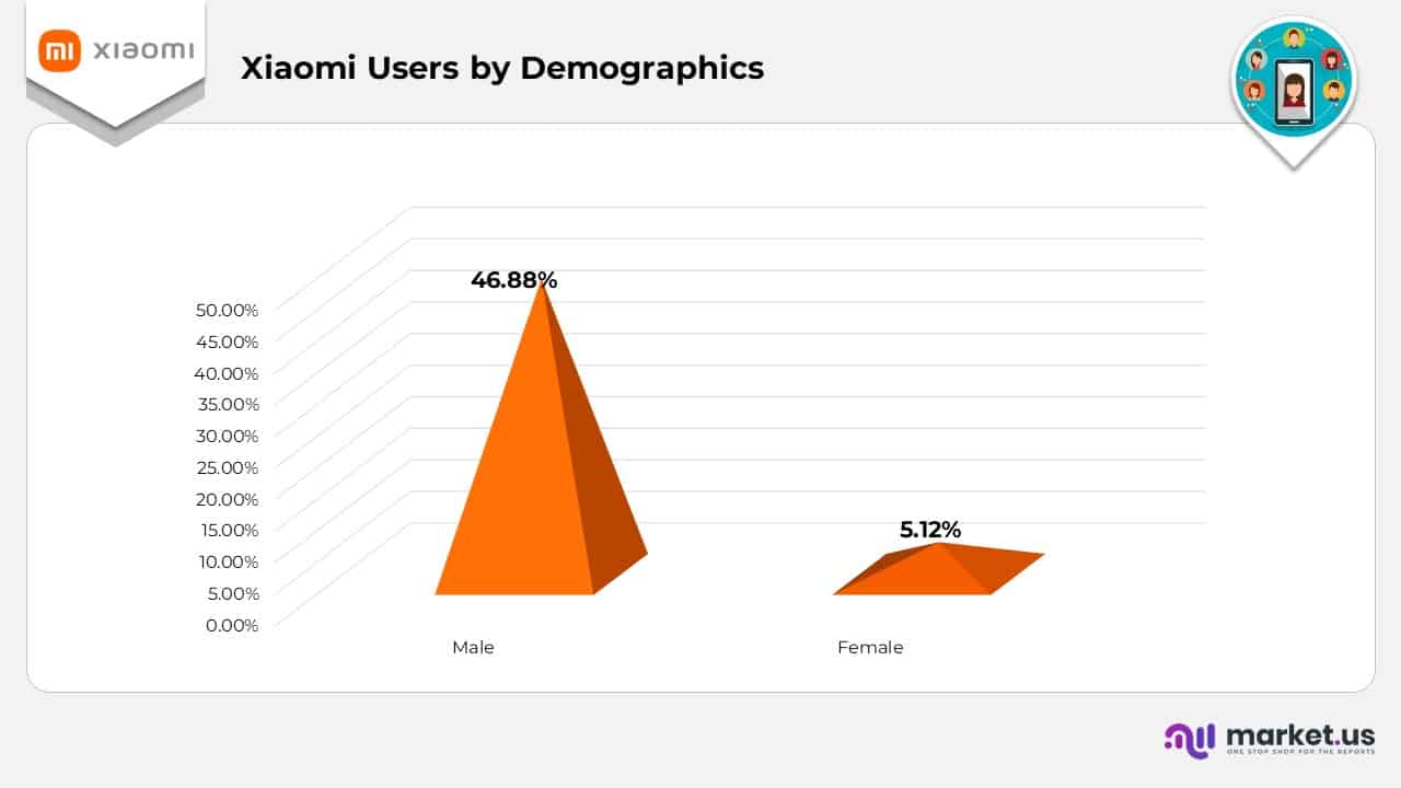 Xiaomi Users by Demographics