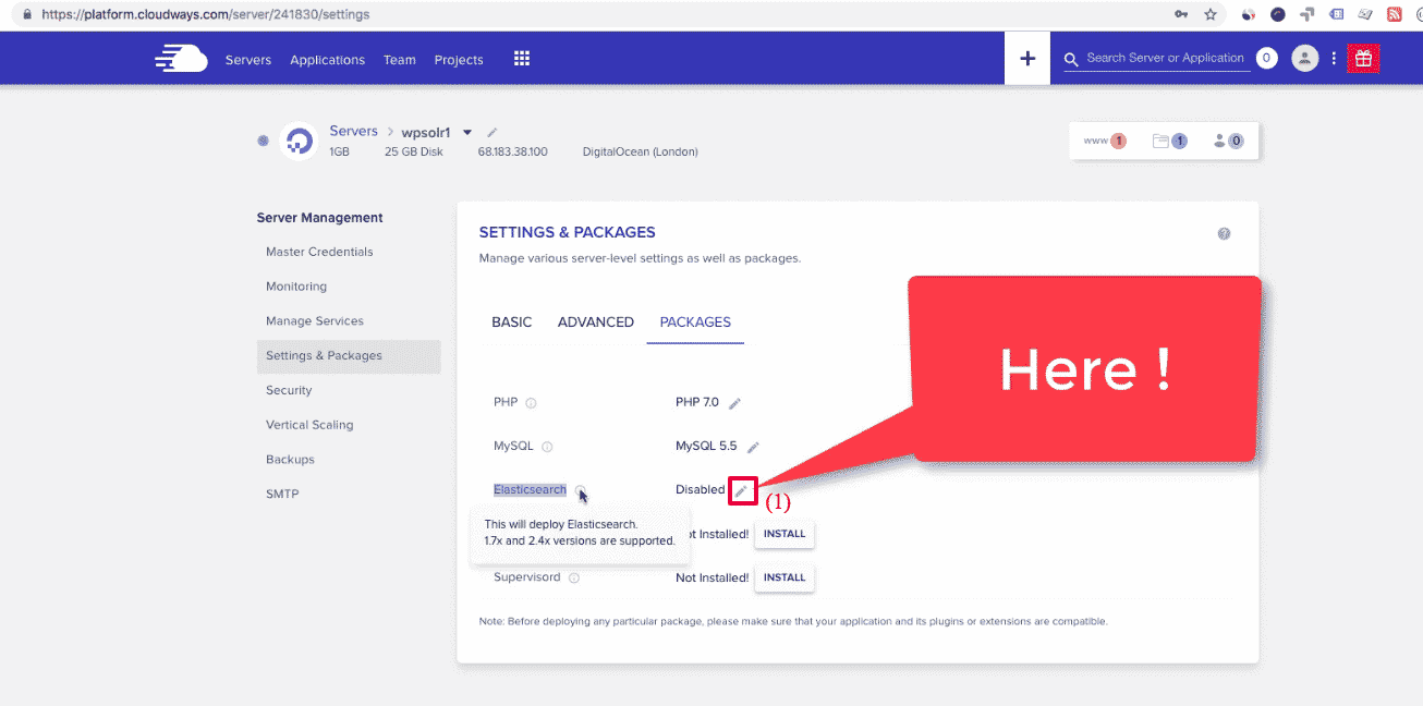 Cloudways WordPress: server settings Elasticsearch enable