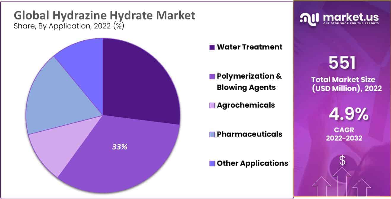 Hydrazine Hydrate Market Share