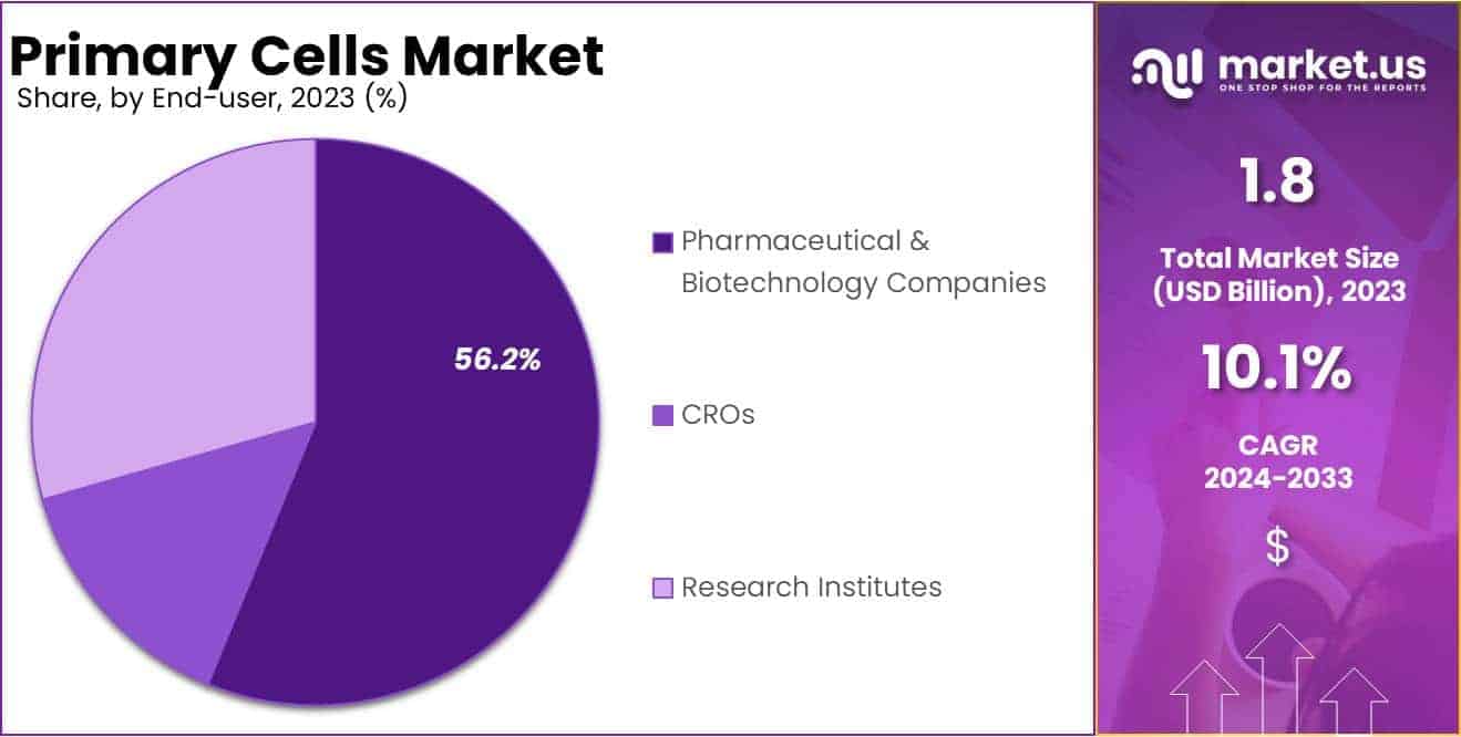Primary Cells Market Share