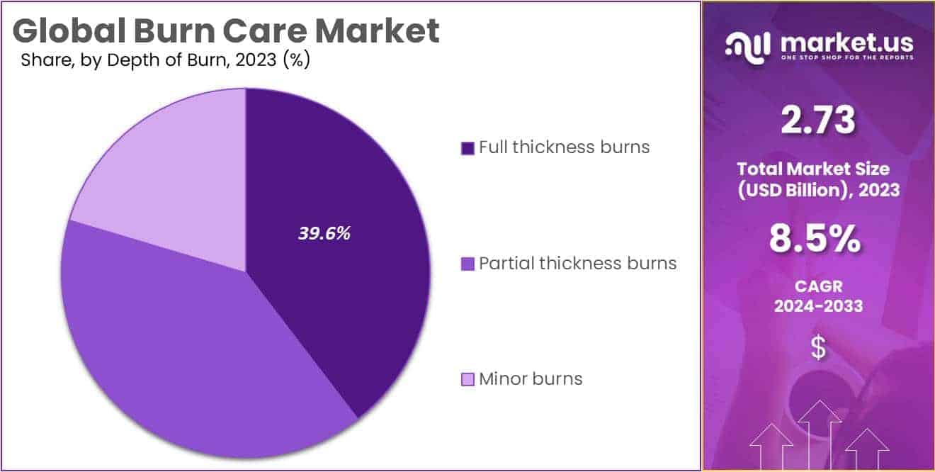 Burn Care Market Share