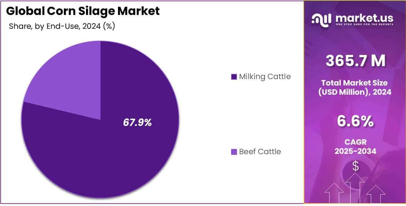 Corn Silage Market Share