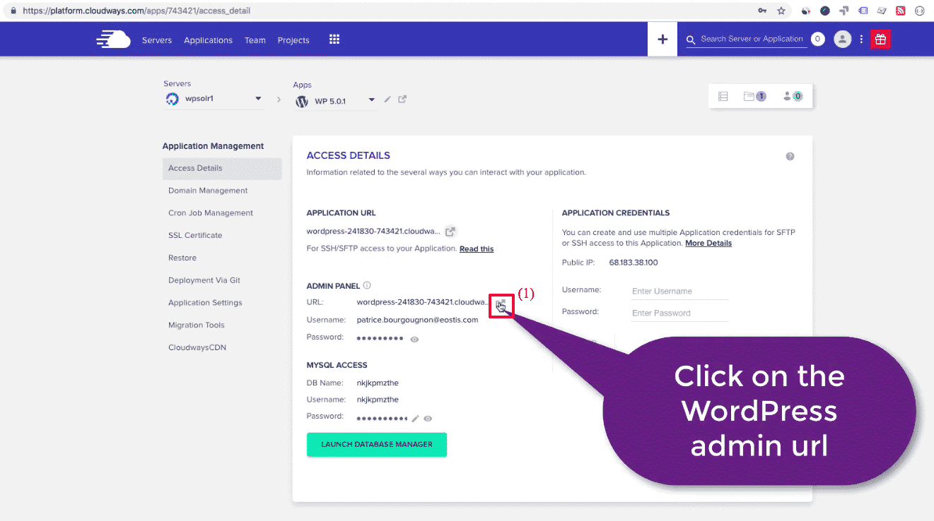 Cloudways WordPress: application settings admin url