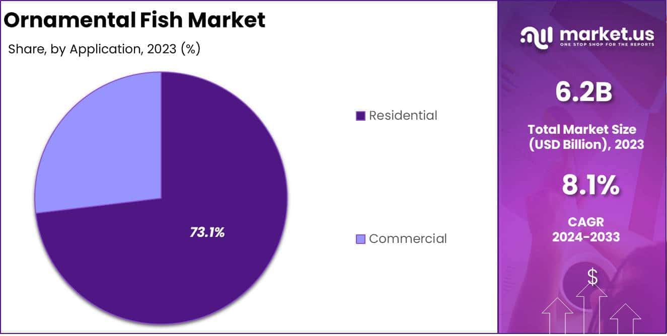 Ornamental Fish Market Application Analysis