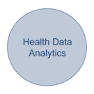 Circle of a health informatics focus area that says Health Data Analytics