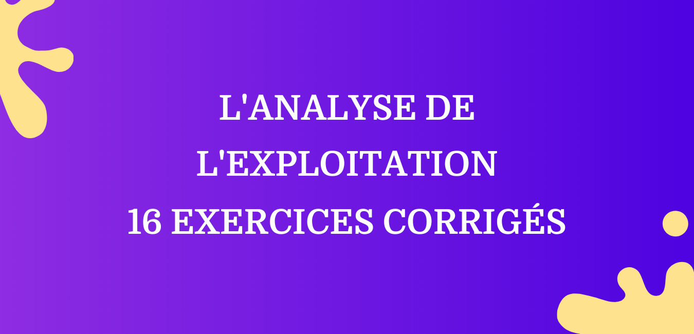 L'Analyse de l'exploitation -16 Exercices corrigés