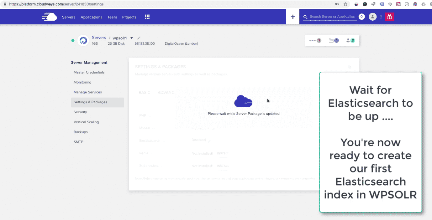 Cloudways WordPress: server settings Elasticsearch preparing