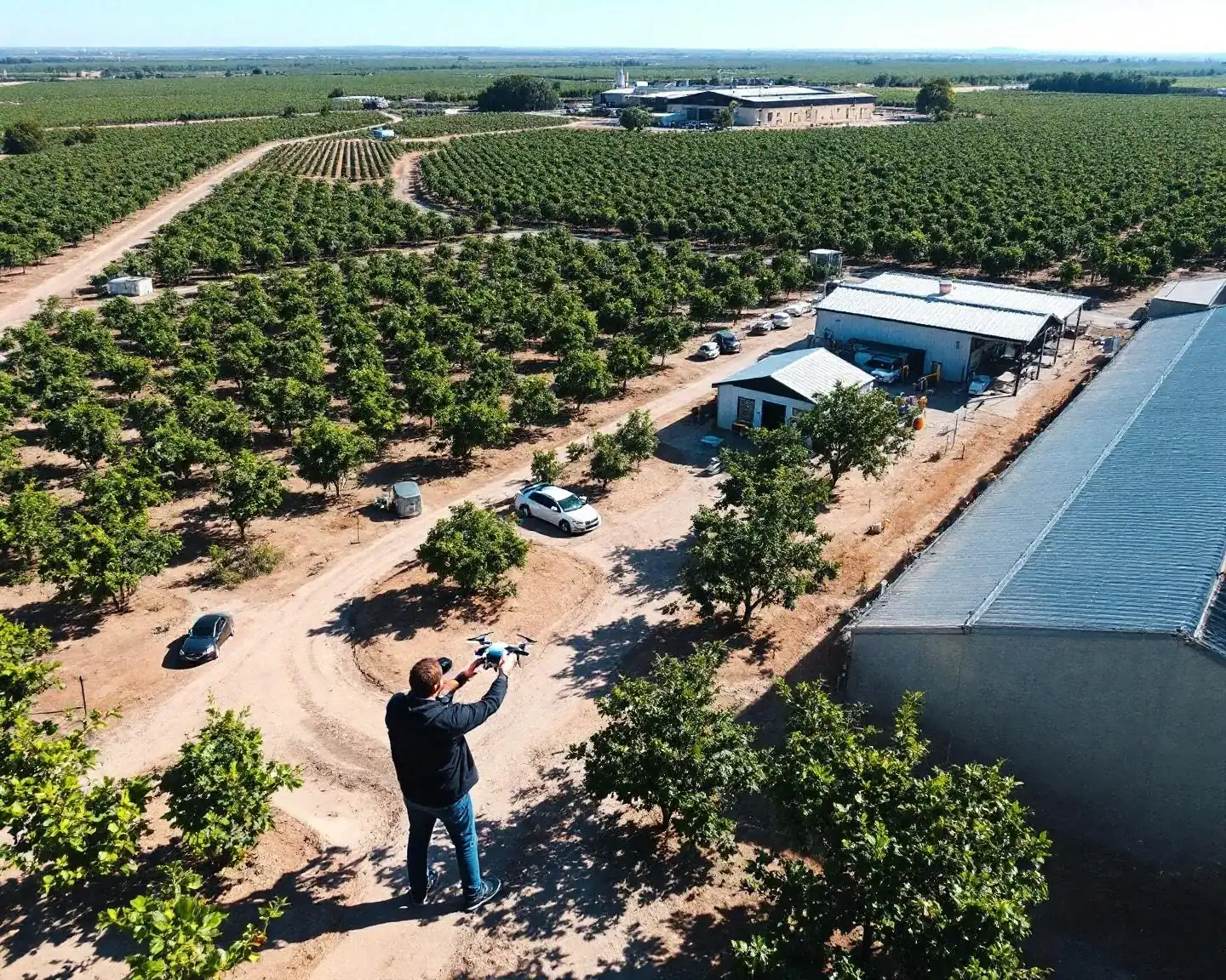 Piloto de drone profesional sobre huerta y cooperativa alimentaria