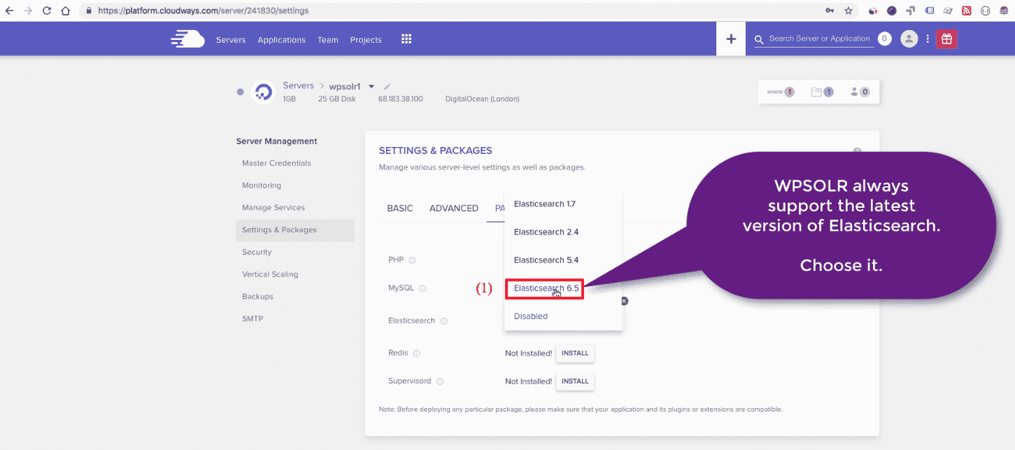 Cloudways WordPress: server settings Elasticsearch version